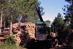 Bioeconomy